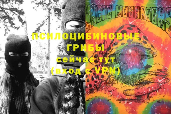 PSILOCYBIN Алзамай