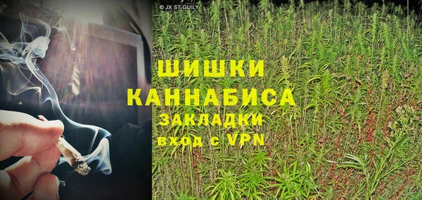 PSILOCYBIN Алзамай