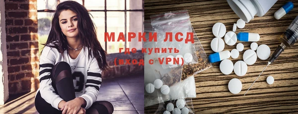 PSILOCYBIN Алзамай