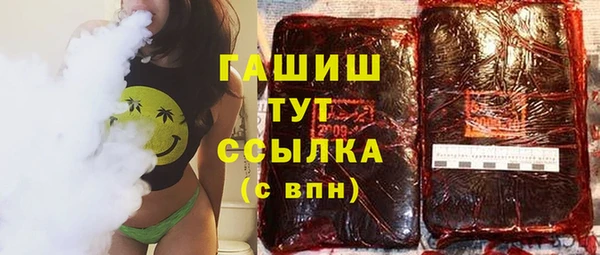 PSILOCYBIN Алзамай