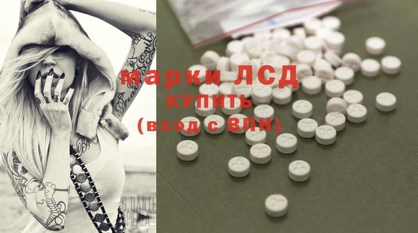 PSILOCYBIN Алзамай