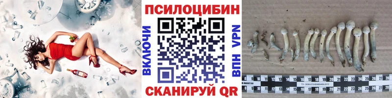 Псилоцибиновые грибы Cubensis  Байкальск 